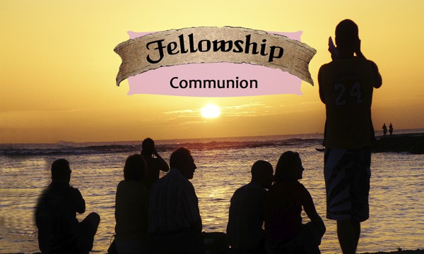 Fellowship - Life Shaping Deck