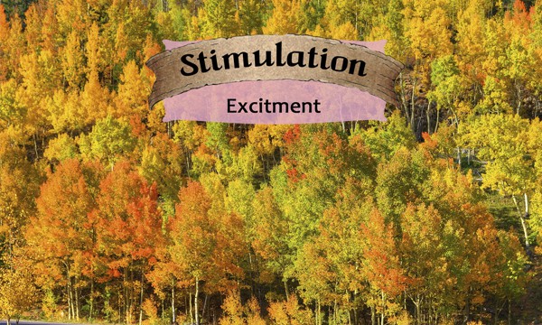 Stimulation - Life Shaping Deck
