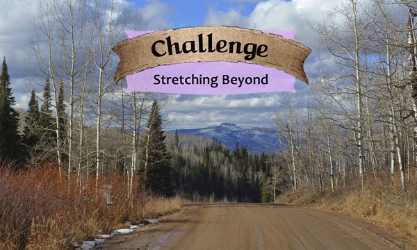 Challenge- Life Shaping Deck