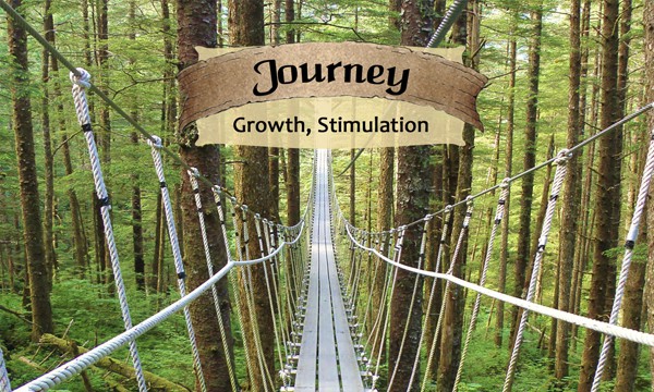 Journey - Life Shaping Deck