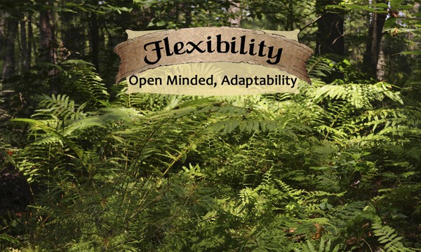Flexibility - Life Shaping Deck