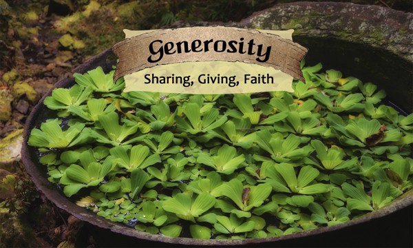 Generosity - Life Shaping Deck