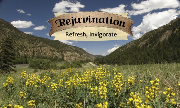 Rejuvenation - Life Shaping Deck