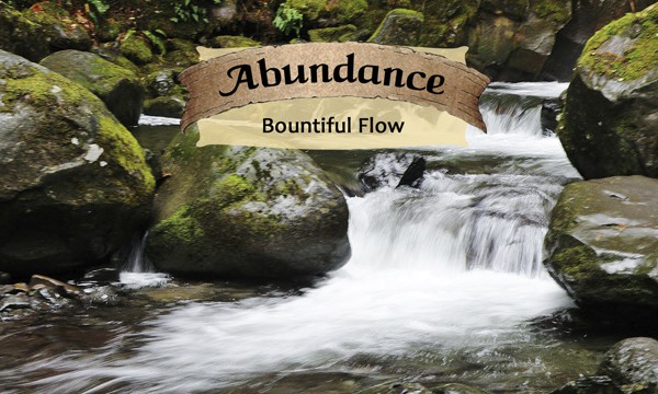 Abundance - Life Shaping Deck