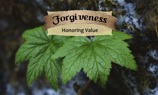 Forgiveness - Life Shaping Deck